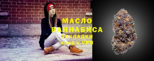 молекула духа Балахна
