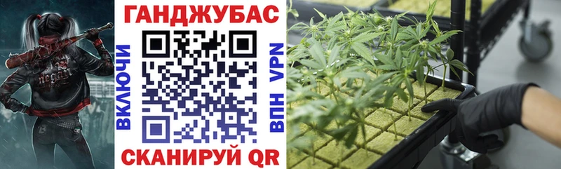 Марихуана сатива  закладки  Малмыж 